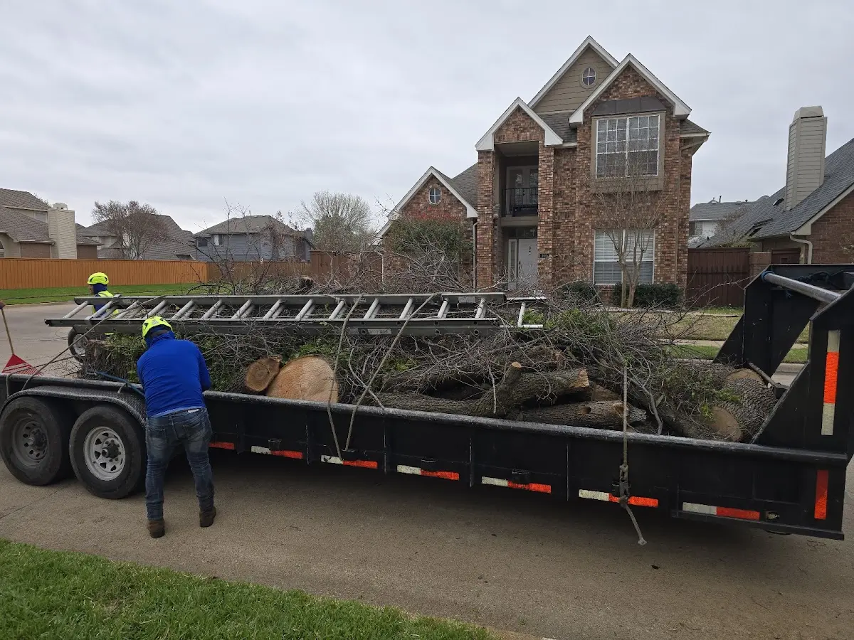 Expert Tree Removal with proper safety equipment in Stoneham